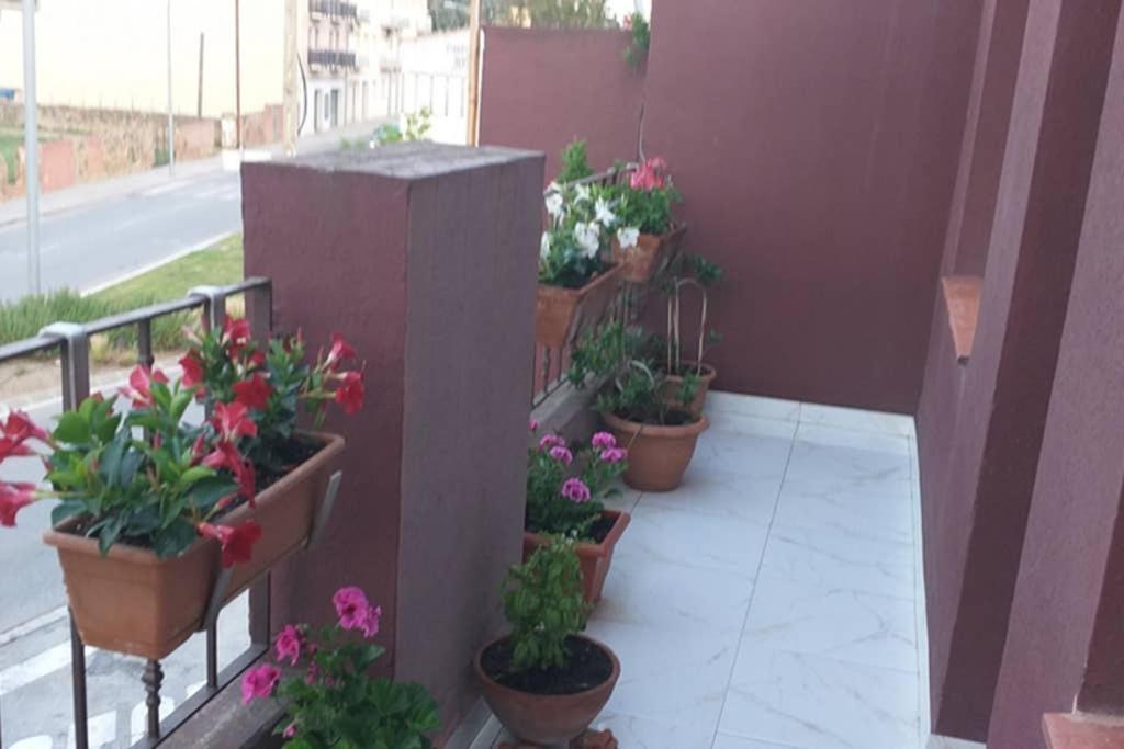 Apartamento vacaciones Palafrugell Exterior foto